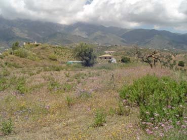 Finca/Casa di Campagna in vendita in Sedella - 115.000 € (Rif: 3605467)