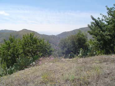 Finca/Casa di Campagna in vendita in Sedella - 115.000 € (Rif: 3605467)