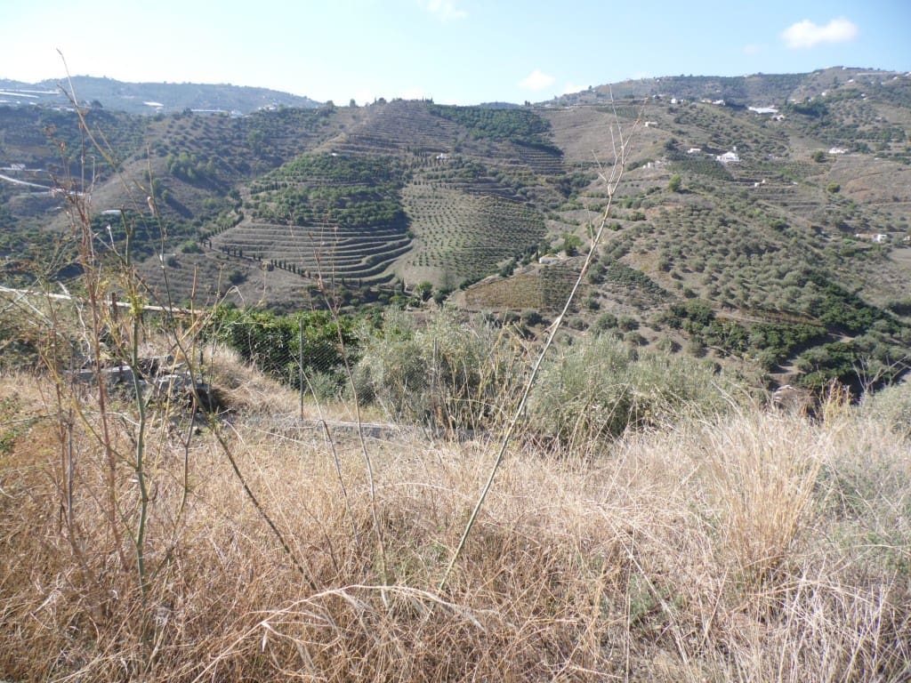 2 soveværelse Finca/Landehus til salg i Frigiliana - € 230.000 (Ref: 3689770)