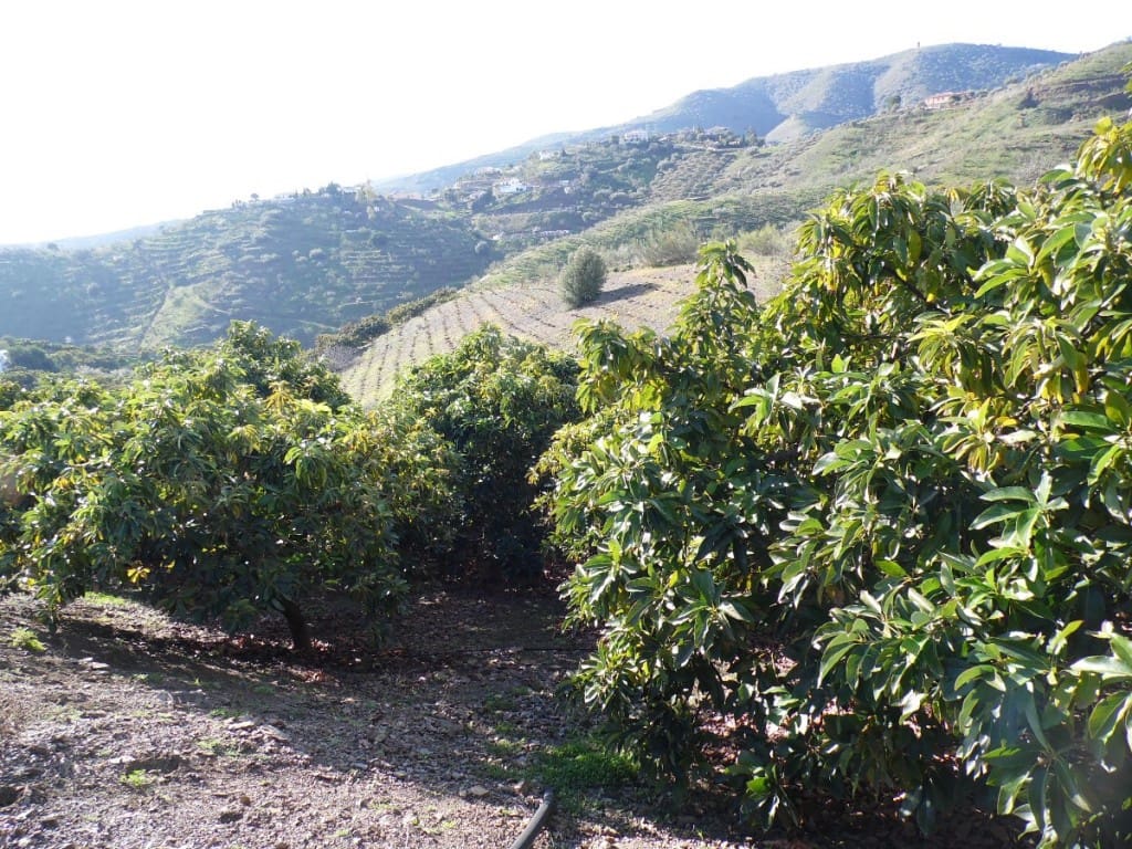 3 soveværelse Finca/Landehus til salg i Vinuela med garage - € 599.000 (Ref: 3771571)