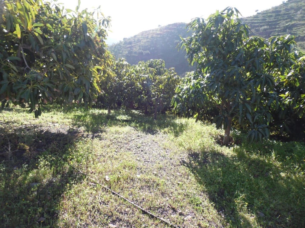 3 soveværelse Finca/Landehus til salg i Vinuela med garage - € 599.000 (Ref: 3771571)