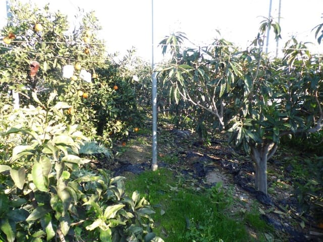 4 soverom Finca/Herregård til salgs i Torrox-Costa, Torrox med garasje - € 393 750 (Ref: 3829523)