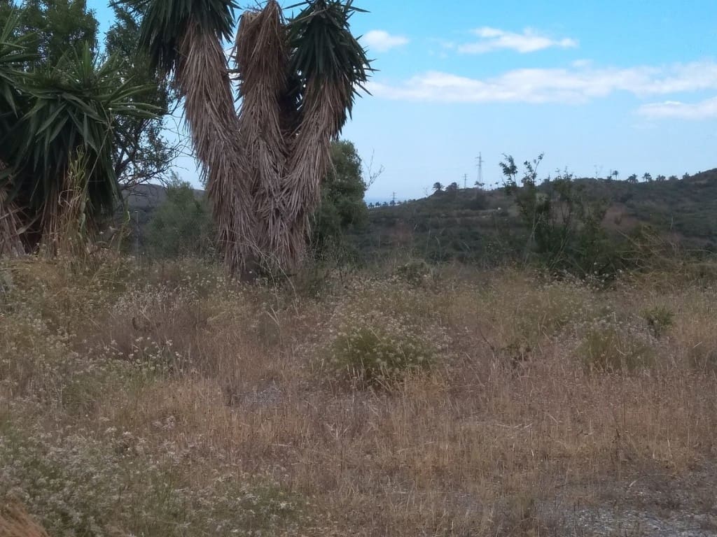 Bouwgrond te koop in Almayate - € 300.000 (Ref: 4433317)