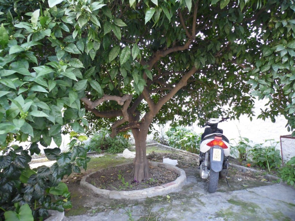 Byggegrund til salg i Benamocarra - € 500.000 (Ref: 5178321)