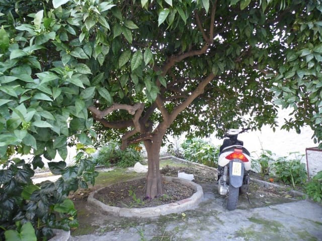 Tomt till salu i Benamocarra - 500 000 € (Ref: 5178321)