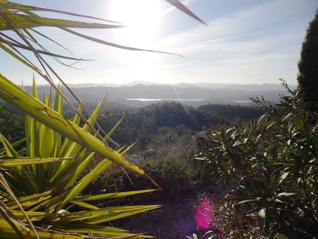 4 soveværelse Finca/Landehus til salg i Canillas de Aceituno - € 395.000 (Ref: 5924325)