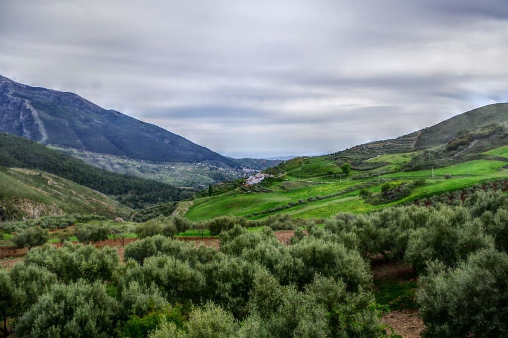 4 soveværelse Finca/Landehus til salg i Alcaucin - € 250.000 (Ref: 6050379)