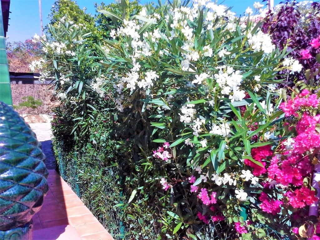 3 soveværelse Villa til salg i Algarrobo Costa - € 795.000 (Ref: 6065571)