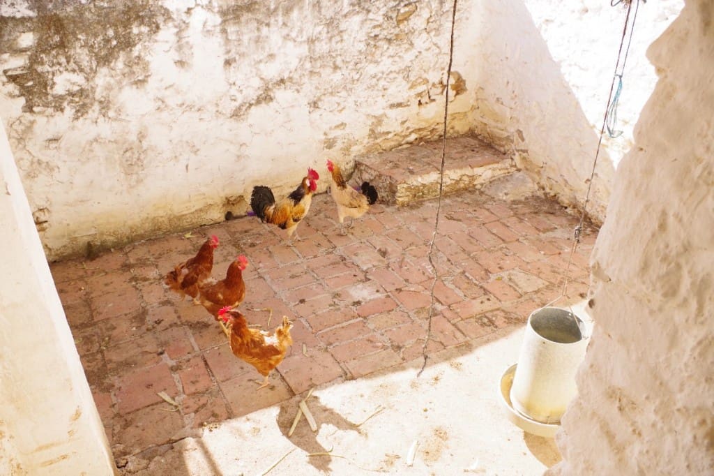 3 soveværelse Byhus til salg i Canillas de Aceituno - € 121.000 (Ref: 6119020)