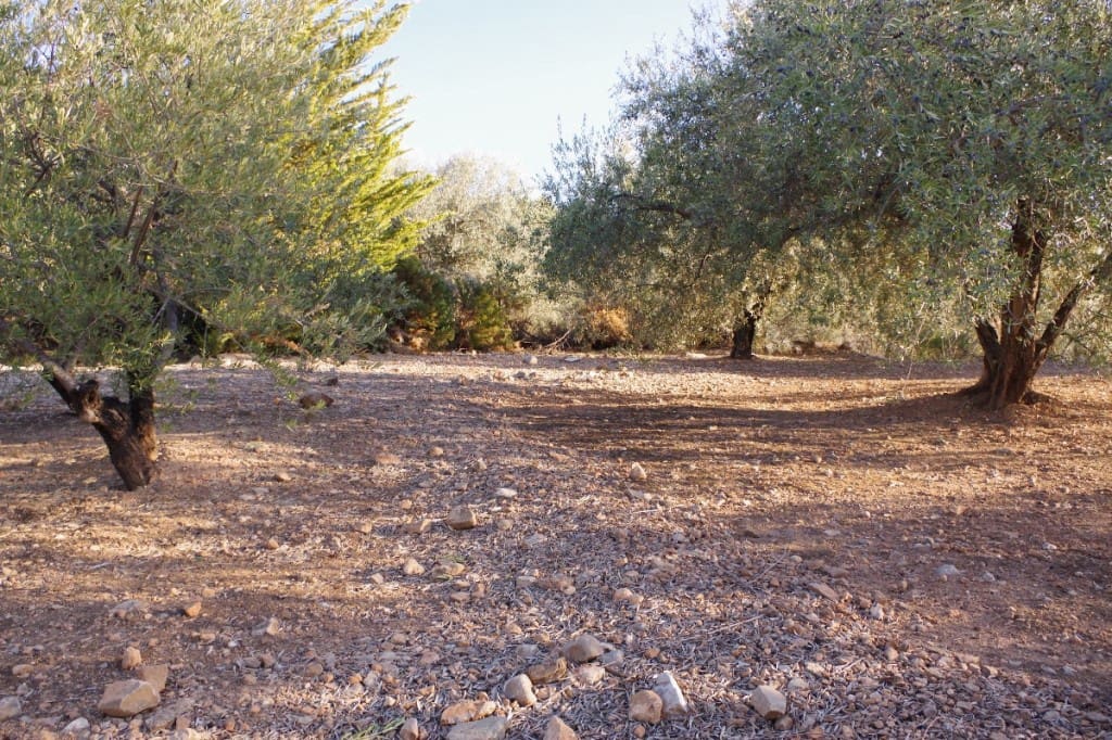 5 soveværelse Finca/Landehus til salg i Alcaucin med swimmingpool - € 459.000 (Ref: 6483332)