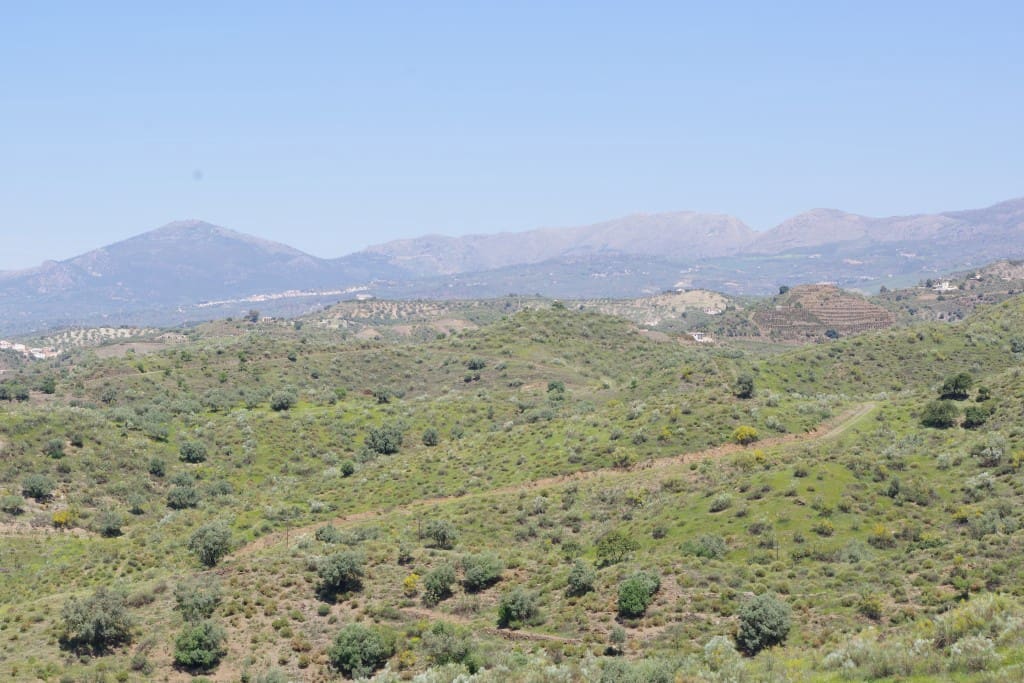 3 chambre Finca/Maison de Campagne à vendre à Canillas de Aceituno avec piscine - 350 000 € (Ref: 6730531)