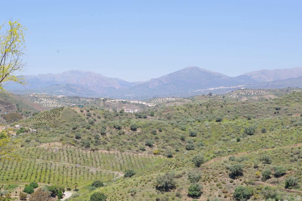 3 chambre Finca/Maison de Campagne à vendre à Canillas de Aceituno avec piscine - 350 000 € (Ref: 6730531)