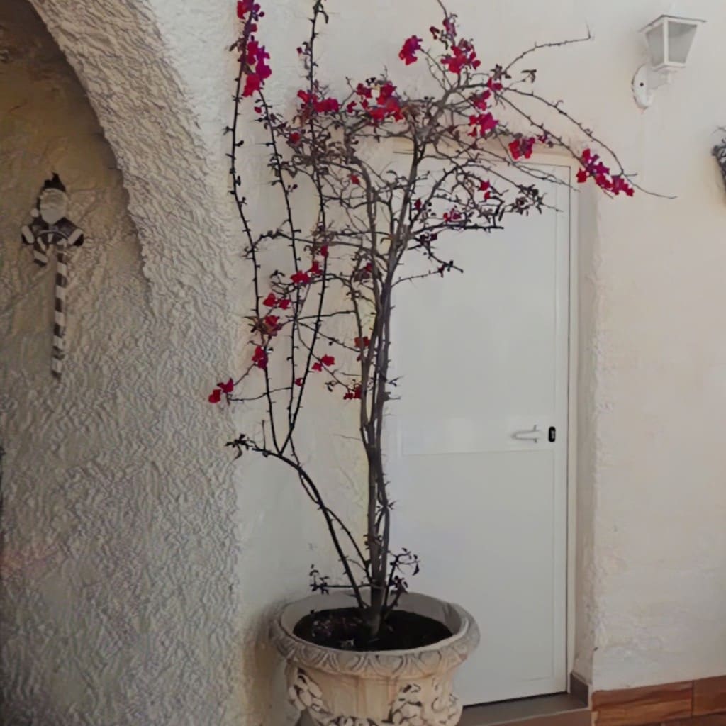 4 soveværelse Villa til salg i Caleta de Velez med swimmingpool - € 485.000 (Ref: 6794839)