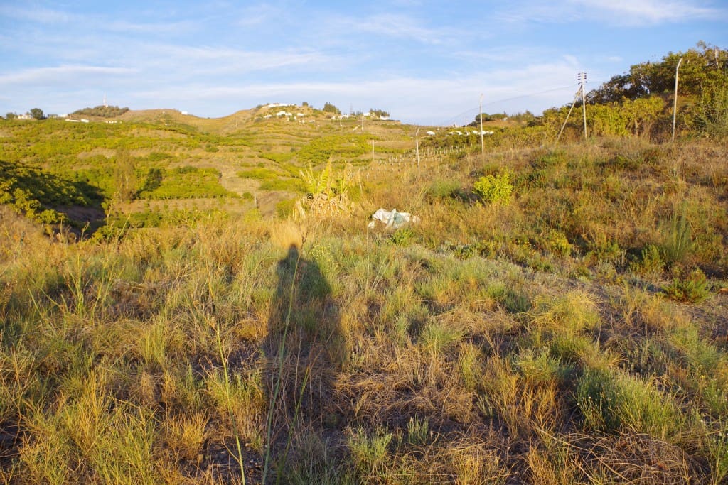 Bouwgrond te koop in Algarrobo - € 99.000 (Ref: 6804537)