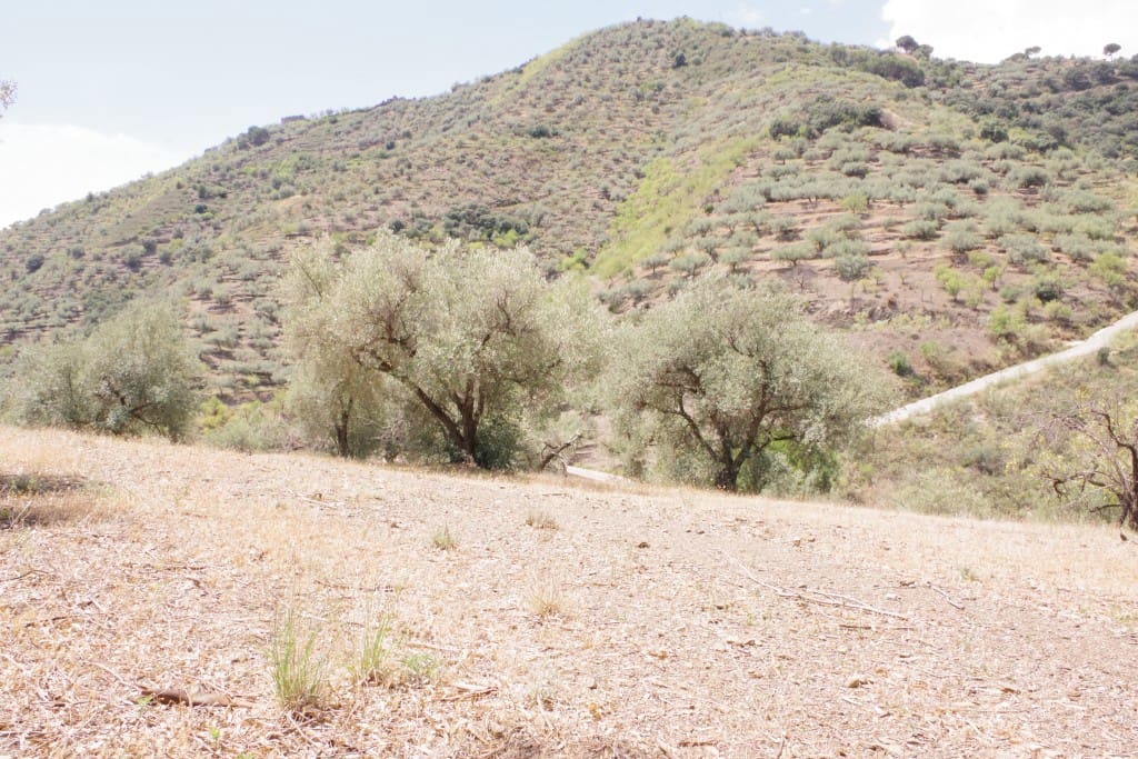 Finca/Herregård til salgs i Arenas - € 128 000 (Ref: 7640660)