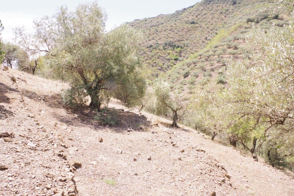 Finca/Herregård til salgs i Arenas - € 128 000 (Ref: 7640660)