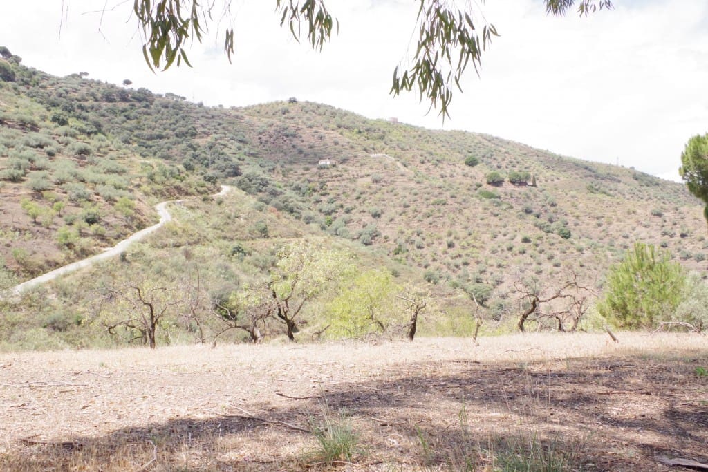 Finca/Herregård til salgs i Arenas - € 128 000 (Ref: 7640660)