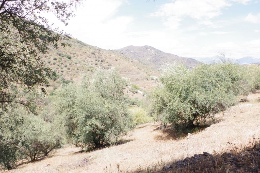 Finca/Herregård til salgs i Arenas - € 128 000 (Ref: 7640660)