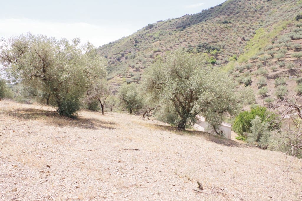 Finca/Herregård til salgs i Arenas - € 128 000 (Ref: 7640660)