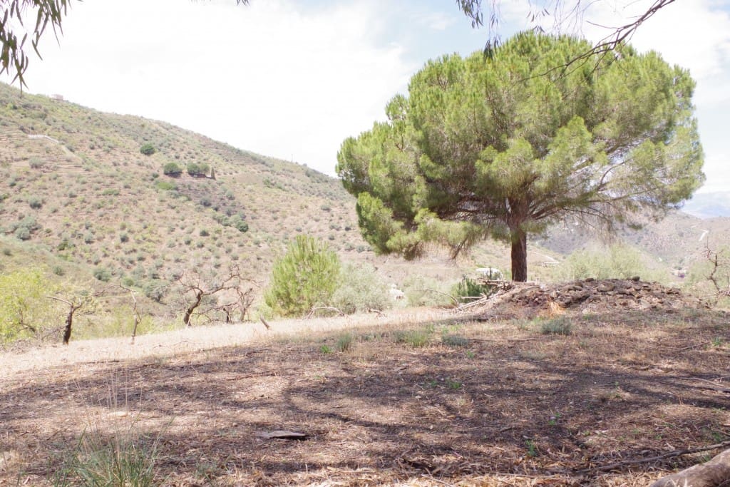 Finca/Herregård til salgs i Arenas - € 128 000 (Ref: 7640660)