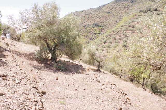 Maalaistalo myytävänä paikassa Arenas - 128 000 € (Ref: 7640660)