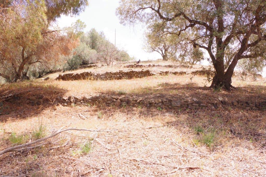 Finca/Herregård til salgs i Arenas - € 128 000 (Ref: 7640660)