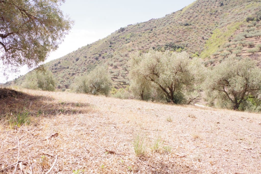 Finca/Herregård til salgs i Arenas - € 128 000 (Ref: 7640660)