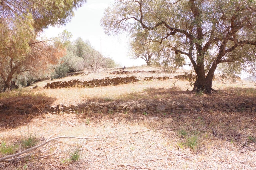 Finca/Herregård til salgs i Arenas - € 128 000 (Ref: 7640660)