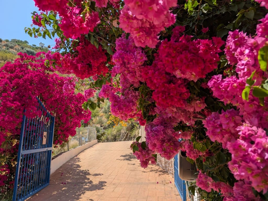 3 soveværelse Finca/Landehus til salg i Arenas med swimmingpool - € 439.000 (Ref: 7784894)