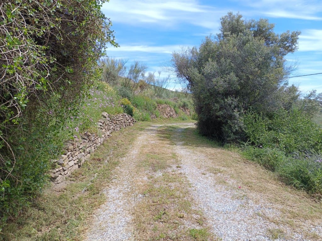 4 quarto Quinta/Casa Rural para venda em Lagos - 289 900 € (Ref: 9106357)