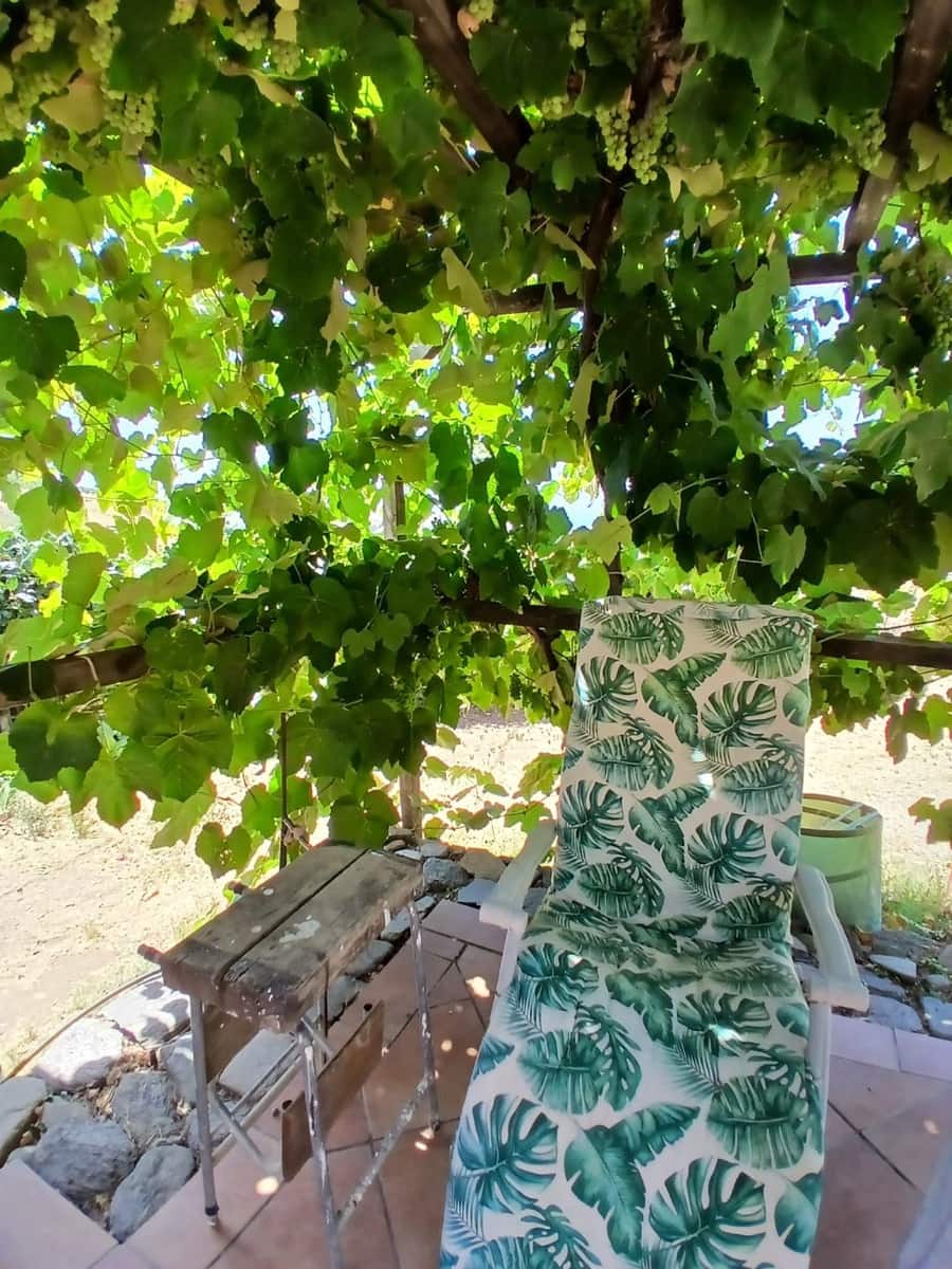 4 quarto Quinta/Casa Rural para venda em Lagos - 289 900 € (Ref: 9106357)