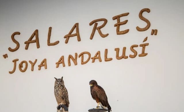 2 soveværelse Byhus til salg i Salares - € 66.000 (Ref: 9126641)