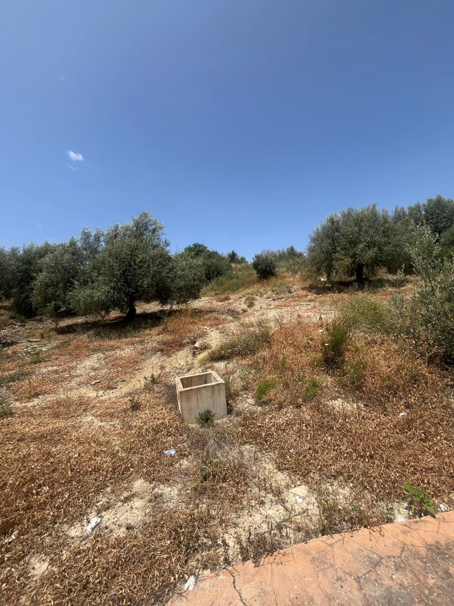 Działka budowlana na sprzedaż w Vinuela - 89 000 € (Ref: 9142690)