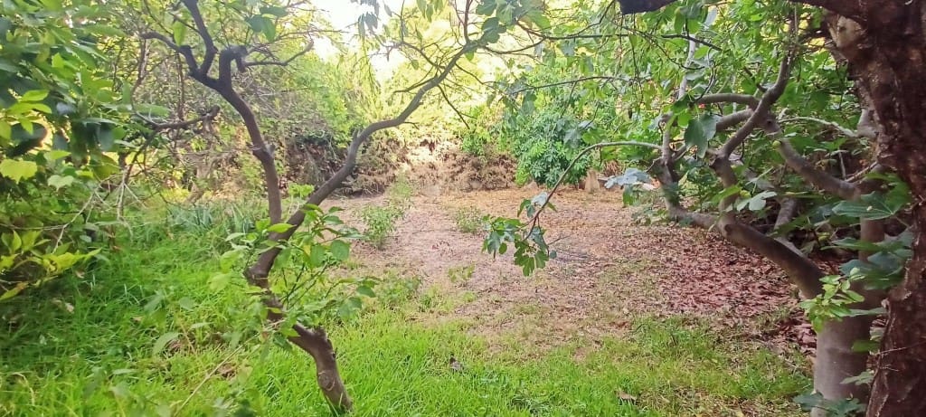 Byggegrund til salg i Caleta de Velez - € 200.000 (Ref: 9217410)