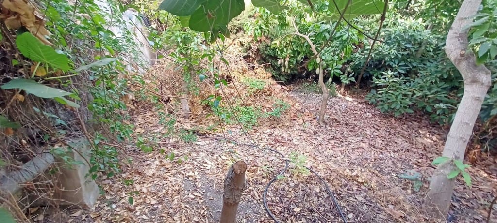 Byggegrund til salg i Caleta de Velez - € 200.000 (Ref: 9217410)