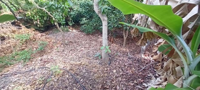 Bouwgrond te koop in Caleta de Vélez, Vélez-Málaga - € 200.000 (Ref: 9217410)