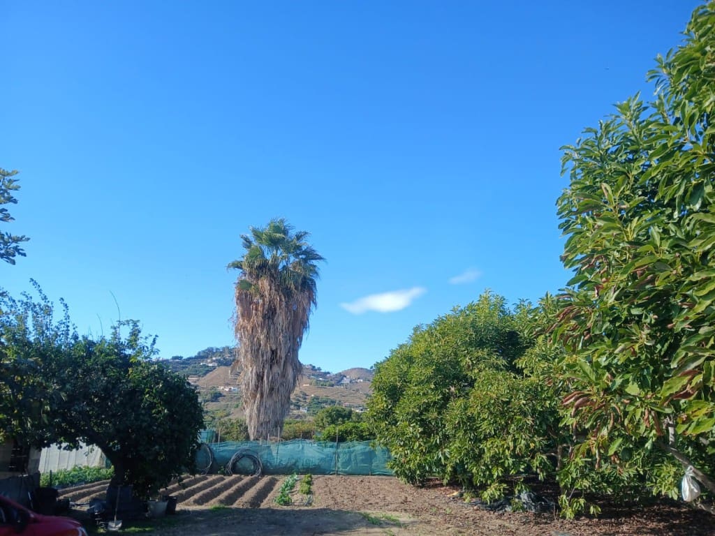 2 soveværelse Finca/Landehus til salg i Nerja med swimmingpool - € 465.000 (Ref: 9419025)