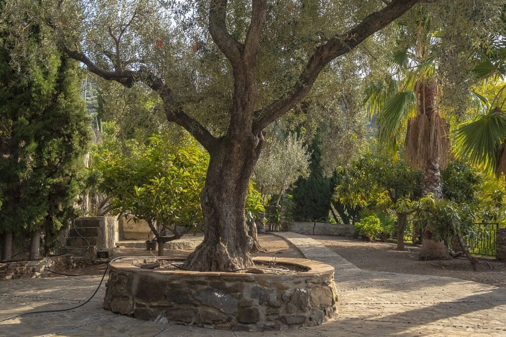 6 bedroom Finca/Country House for sale in Sayalonga with pool - € 690,000 (Ref: 9839010)