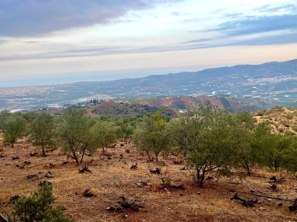 Finca/Country House for sale in Caleta de Velez - € 398,000 (Ref: 9935992)