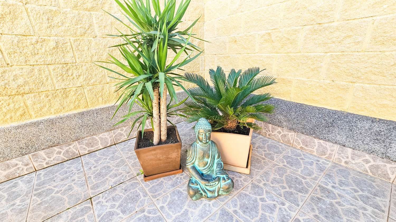 Adosado de 2 habitaciones en El Chaparral en venta - 125.000 € (Ref: 10005205)
