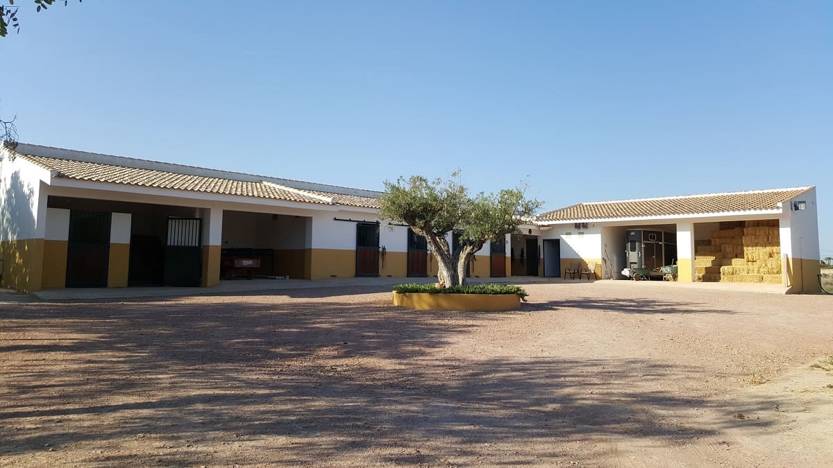 6 bedroom Finca/Country House for sale in La Murada with pool - € 950,000 (Ref: 10080552)