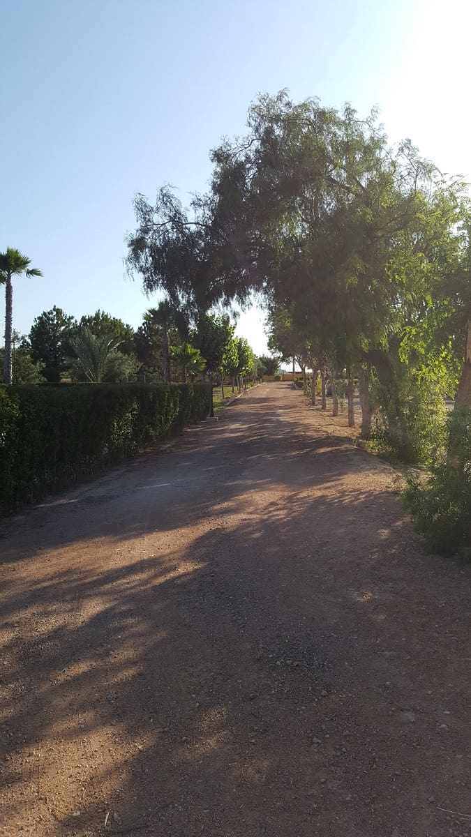 6 bedroom Finca/Country House for sale in La Murada with pool - € 950,000 (Ref: 10080552)