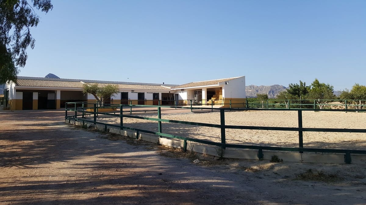 6 bedroom Finca/Country House for sale in La Murada with pool - € 950,000 (Ref: 10080552)
