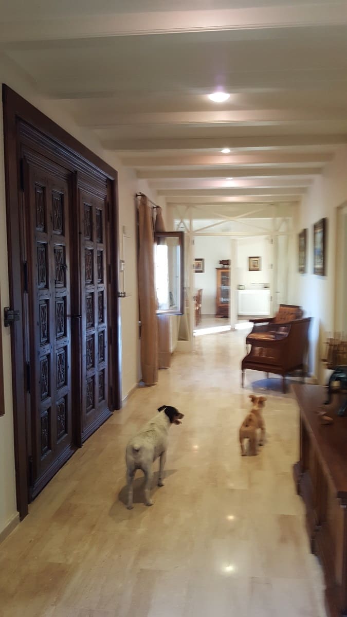 6 bedroom Finca/Country House for sale in La Murada with pool - € 950,000 (Ref: 10080552)