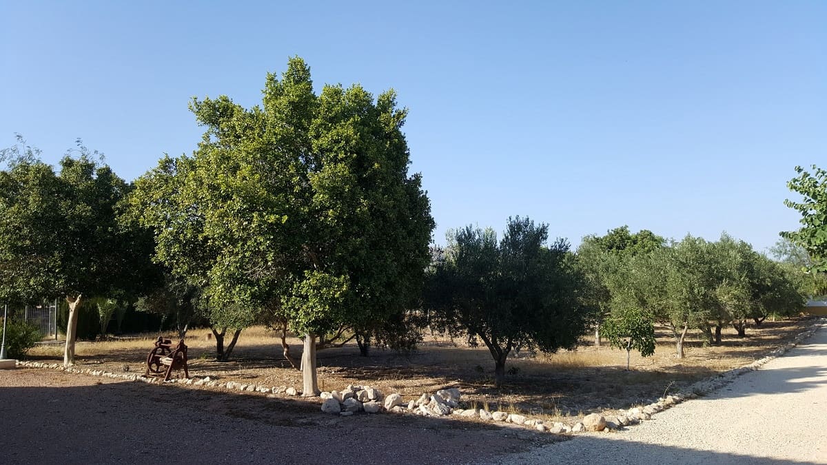 6 bedroom Finca/Country House for sale in La Murada with pool - € 950,000 (Ref: 10080552)