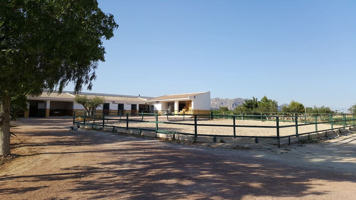 6 bedroom Finca/Country House for sale in La Murada with pool - € 950,000 (Ref: 10080552)