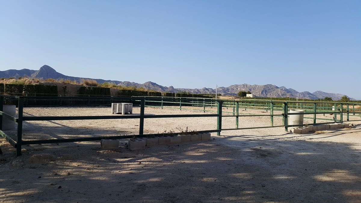 6 bedroom Finca/Country House for sale in La Murada with pool - € 950,000 (Ref: 10080552)