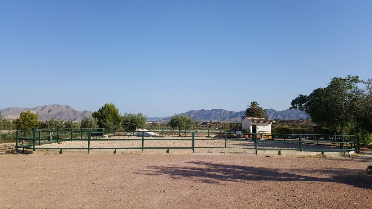 6 bedroom Finca/Country House for sale in La Murada with pool - € 950,000 (Ref: 10080552)