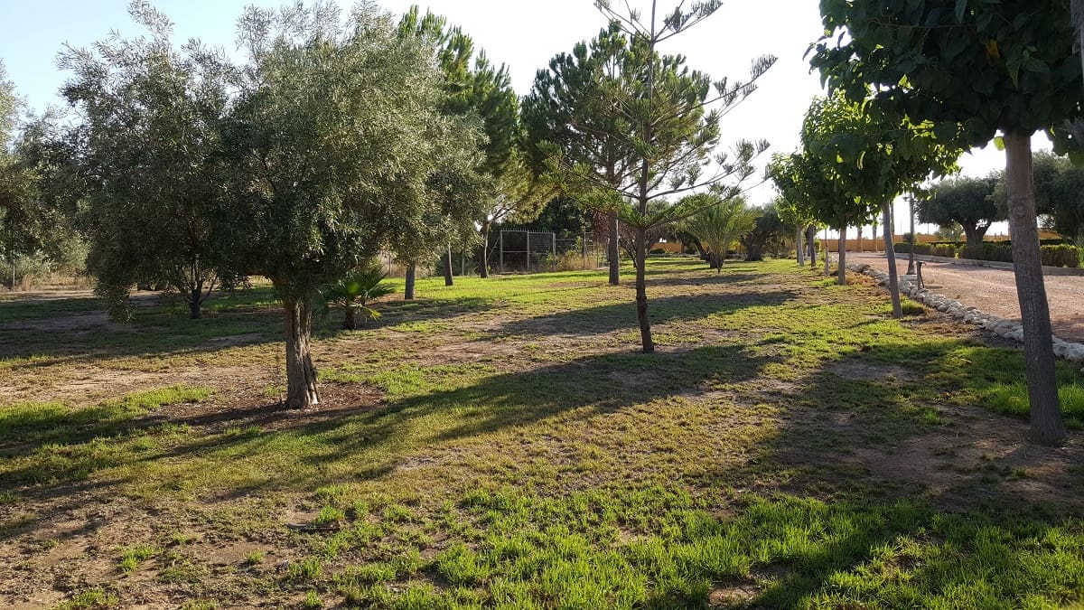 6 bedroom Finca/Country House for sale in La Murada with pool - € 950,000 (Ref: 10080552)