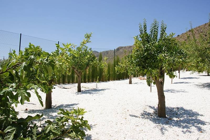 5 makuuhuone Huvila myytävänä paikassa Hondon de las Nieves mukana uima-altaan - 1 799 000 € (Ref: 8207371)